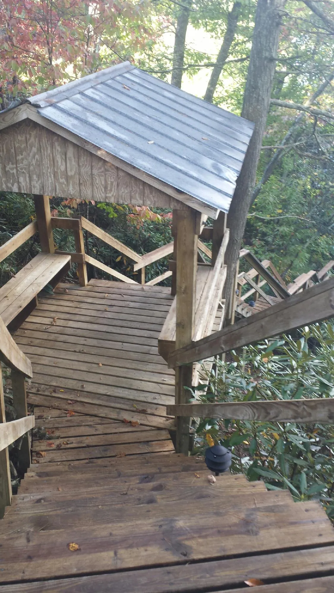 Metal roofed shelter over wooden steps on a wooded walkway — Skylight Repair & Installation work by our crew in Pedro Bay