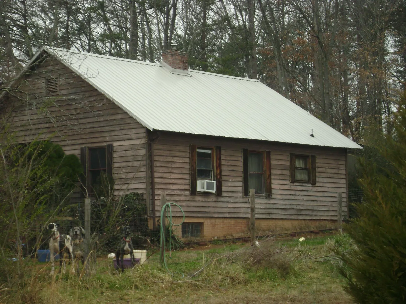 White metal roof on an old wood sided farmhouse, from a Metal Roof Installation job in Pedro Bay